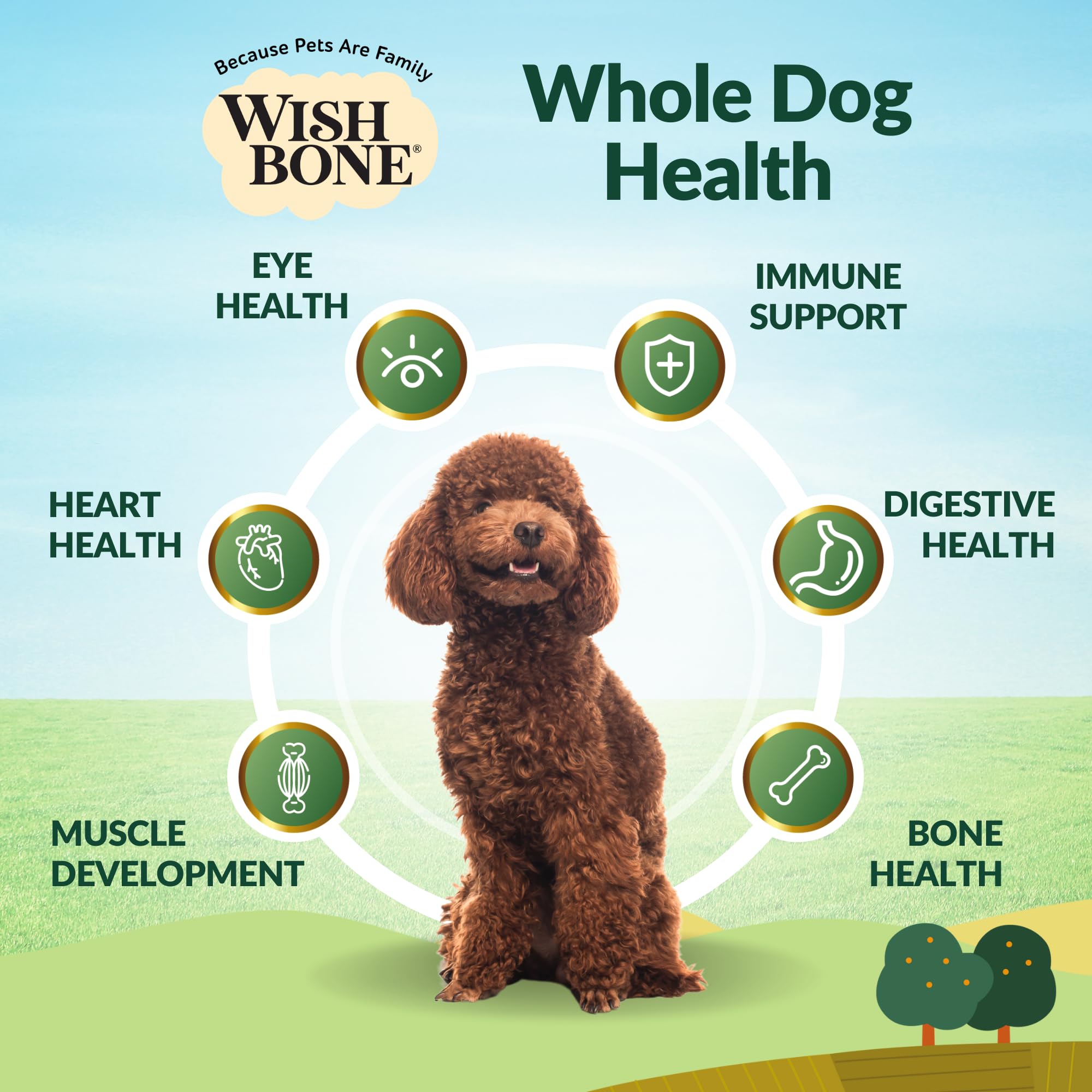 Premium Grain-Free & Gluten-Free New Zealand Lamb Dry Dog Food for Optimal Pet Health - 4lb Bag | Ideal for Sensitive Stomachs & Allergies | Perfect for Adult Dogs & Puppies at Home or Travel