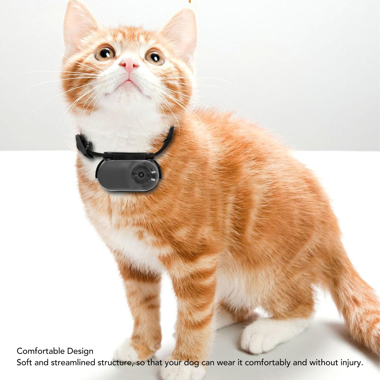 **Dog Collar Camera - 1080P HD Video & 4K Photo, 170° Wide Angle Pet Action Camera for Outdoor Adventures - Perfect for Hiking, Running & Training with Dogs & Cats**