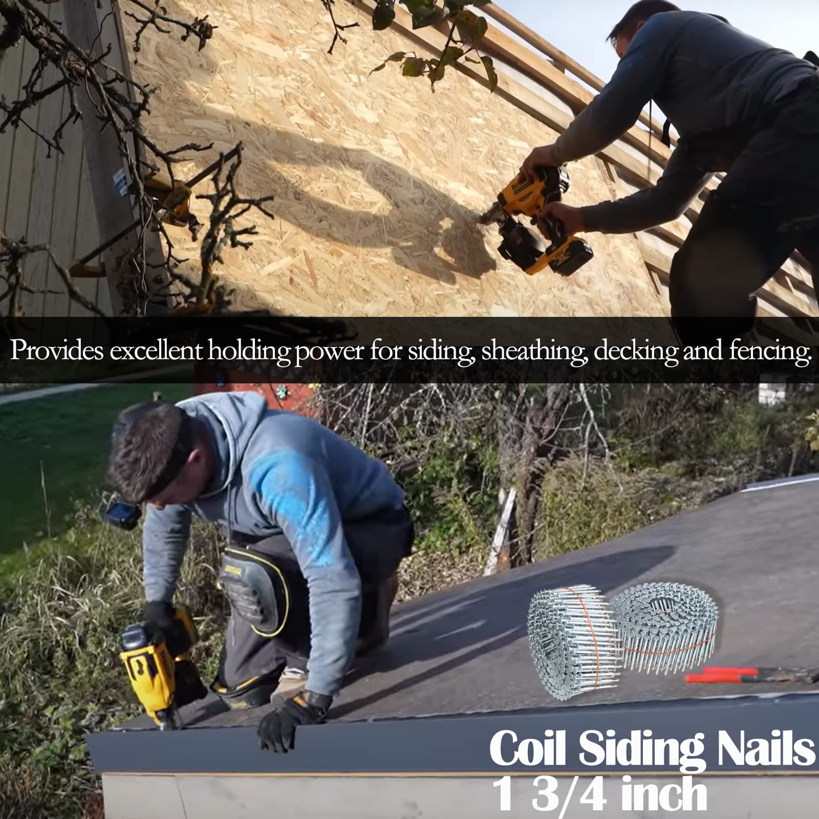 1-3/4 Inch 15 Degree Stainless Steel Coil Siding Nails - 1200 Count Ring Shank Galvanized Roofing Nails for Siding, Fencing & Exterior Trim Installation - Weather Resistant Construction Fasteners