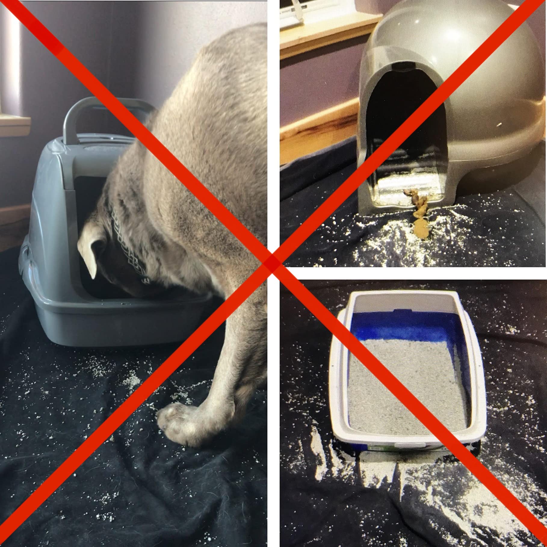 Premium Cat Litter Box - 90% Less Mess, Keeps Litter Contained | Durable & Easy Clean for Indoor Cats | Perfect for Small Spaces & Multi-Cat Homes