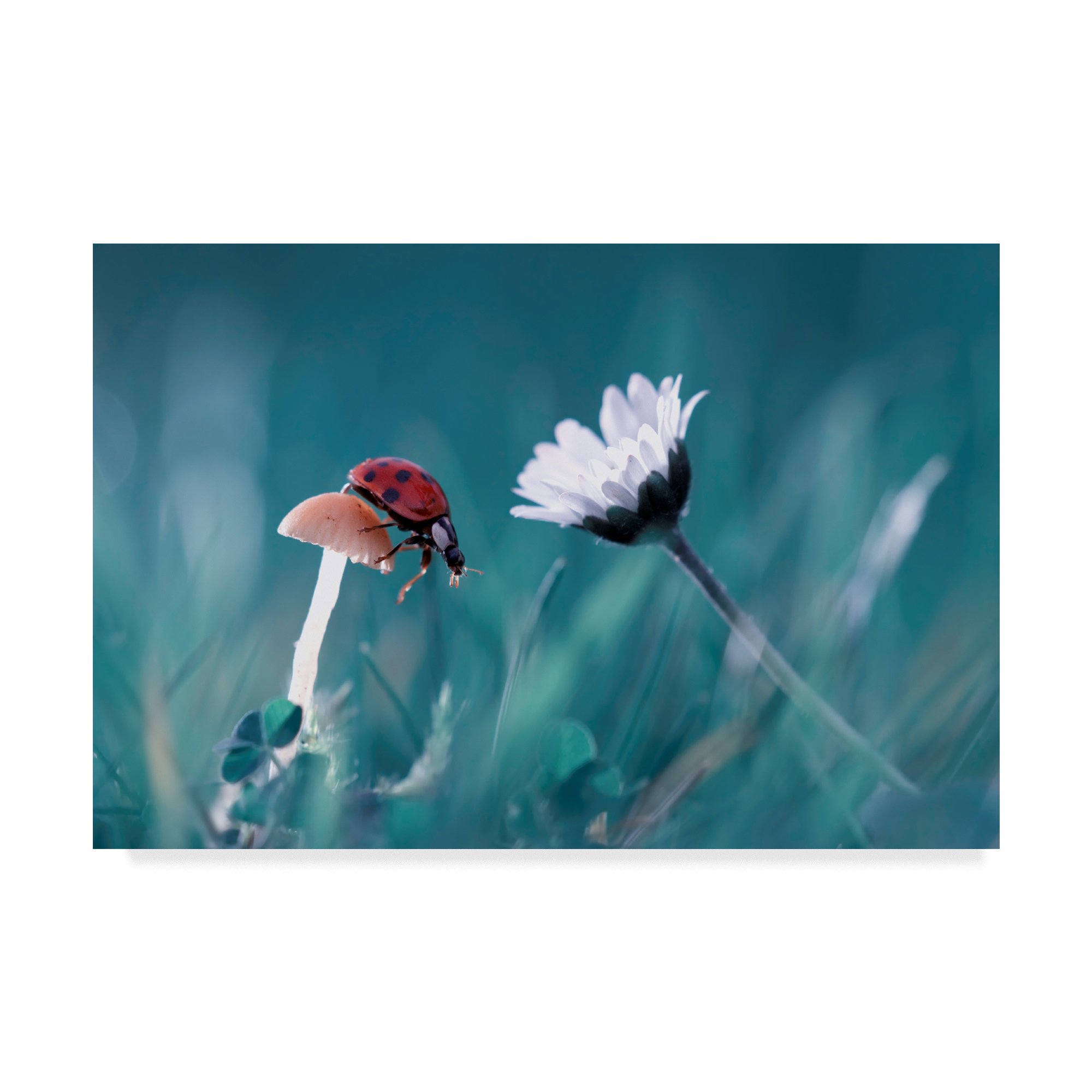 Trademark Fine Art Fabien Bravin Multicolor Canvas Wall Art - Perfect for Living Room, Bedroom & Office Decor