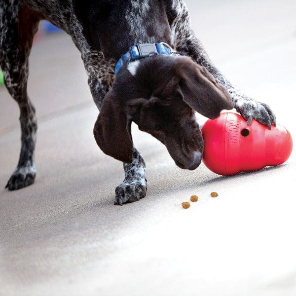 KONG Wobbler - Interactive Treat Dispensing Dog Toy for Mental Stimulation & Slow Feeding | Perfect for Boredom Relief & Training