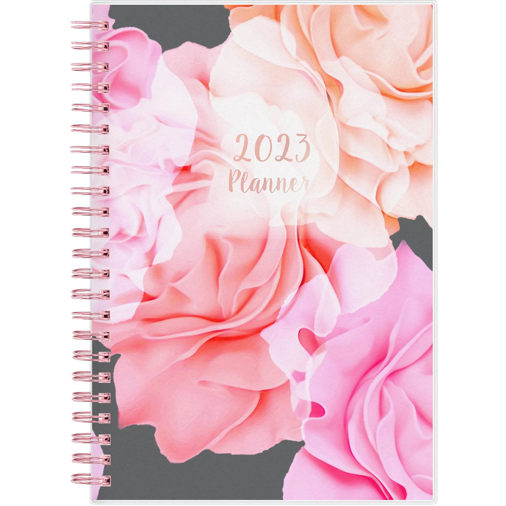 Blue Sky 2023 Weekly & Monthly Planner - January to December 5