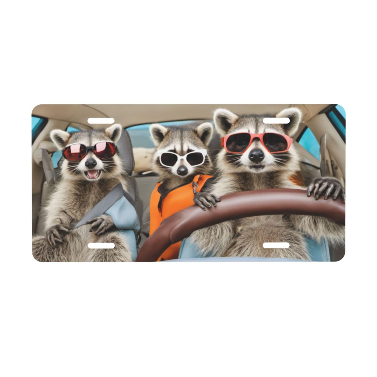 Funny Raccoon Car License Plate Cover - 6x12 Inch Metal Novelty Auto Tag for Men & Women - Perfect for Front Bumper Decoration, Gifts, and Home Decor