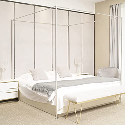 Thicken Silver Frame