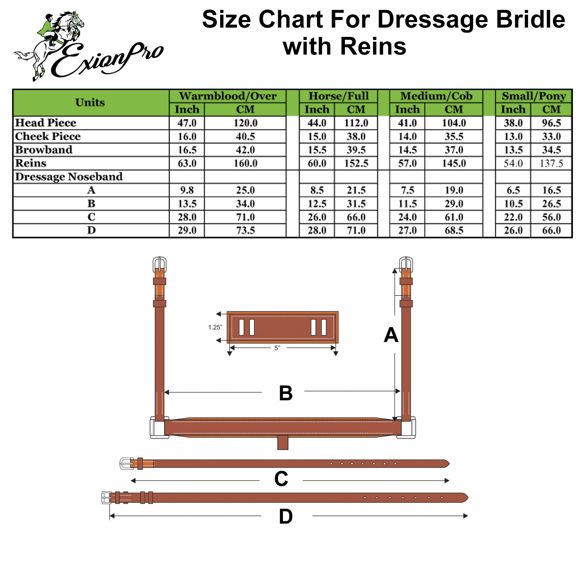 Premium Exion Horse Dressage Bridle - Soft Padded Anatomic Crank Noseband with Reins & Brass Buckles for Equestrian Training & Show Jumping | Comfort Fit for Dressage & Horse Riding Competitions