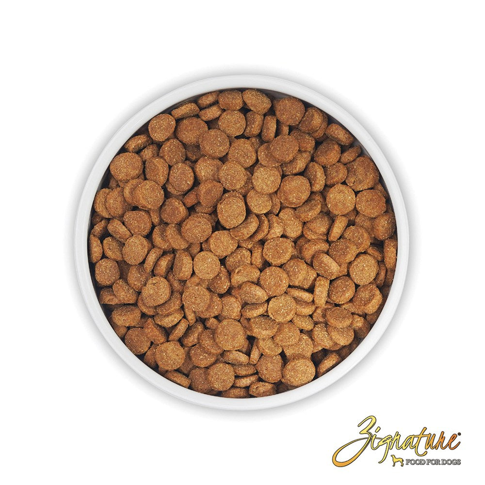 Limited Ingredient Salmon Dry Dog Food - Grain-Free, Hypoallergenic for Sensitive Stomachs - Perfect for Adult Dogs with Allergies or Digestive Issues