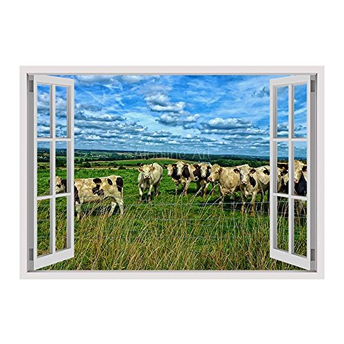 Synthetic Canvas