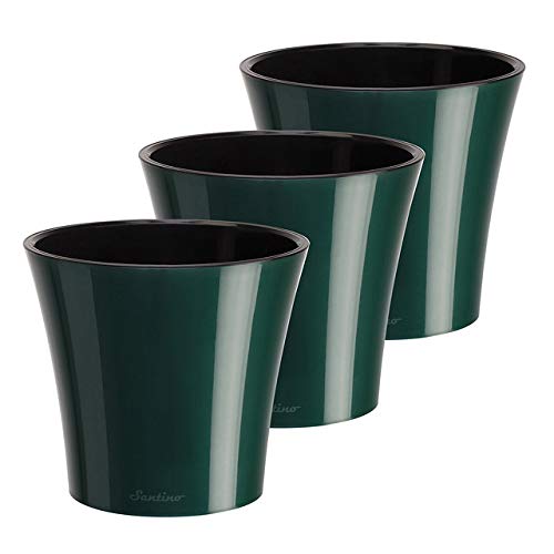 Green/Black - Set of 3