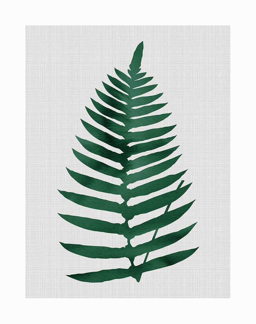 Beech Green Unframed Art Print - Nature Inspired Wall Decor for Living Room, Bedroom & Office - Perfect for Home & Office Decor
