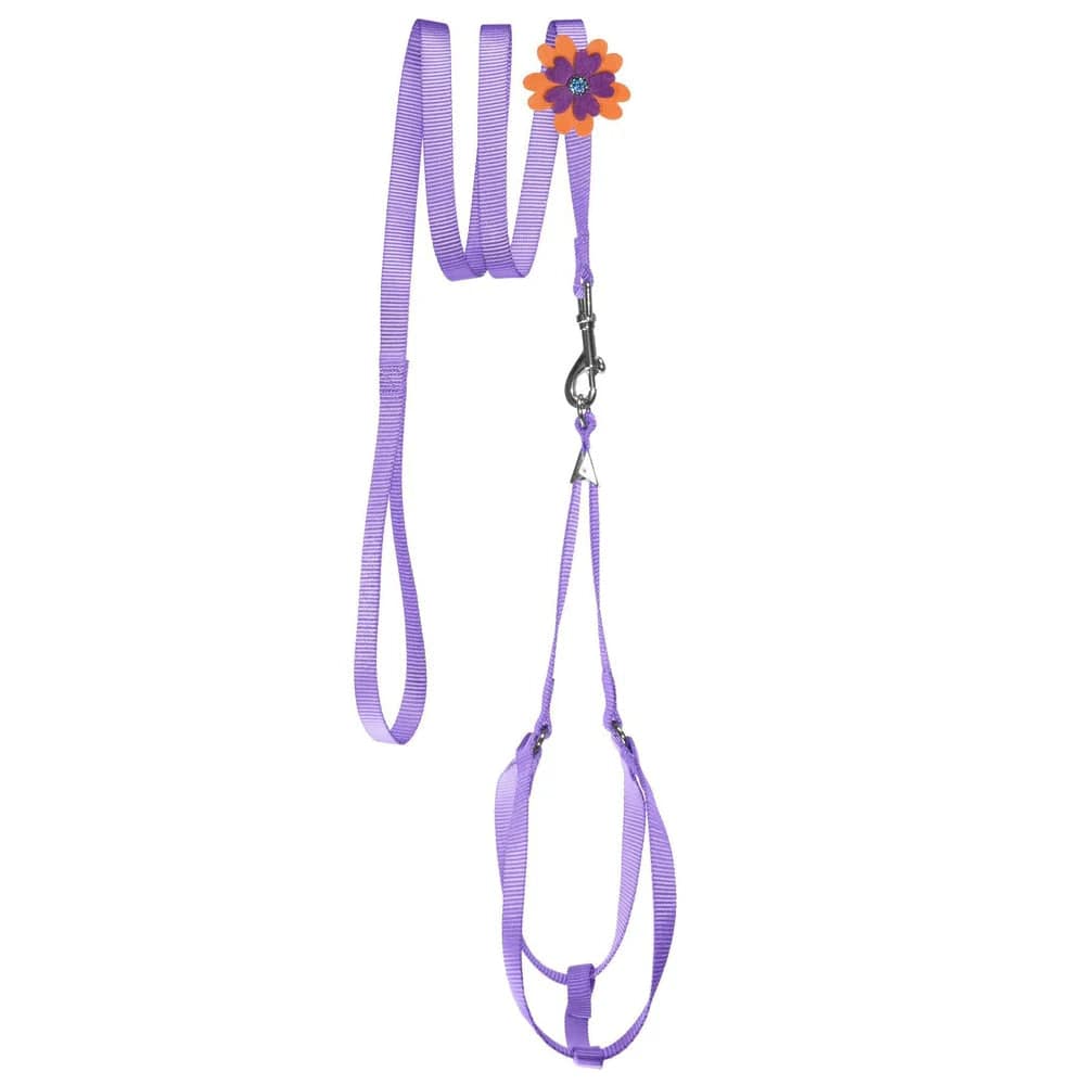 Step In Dog Harness & Leash Set - Adjustable Pet Harness for Small Medium Large Dogs - Reflective No Pull Vest for Walking Running Training - Perfect for Outdoor Adventures & Daily Walks