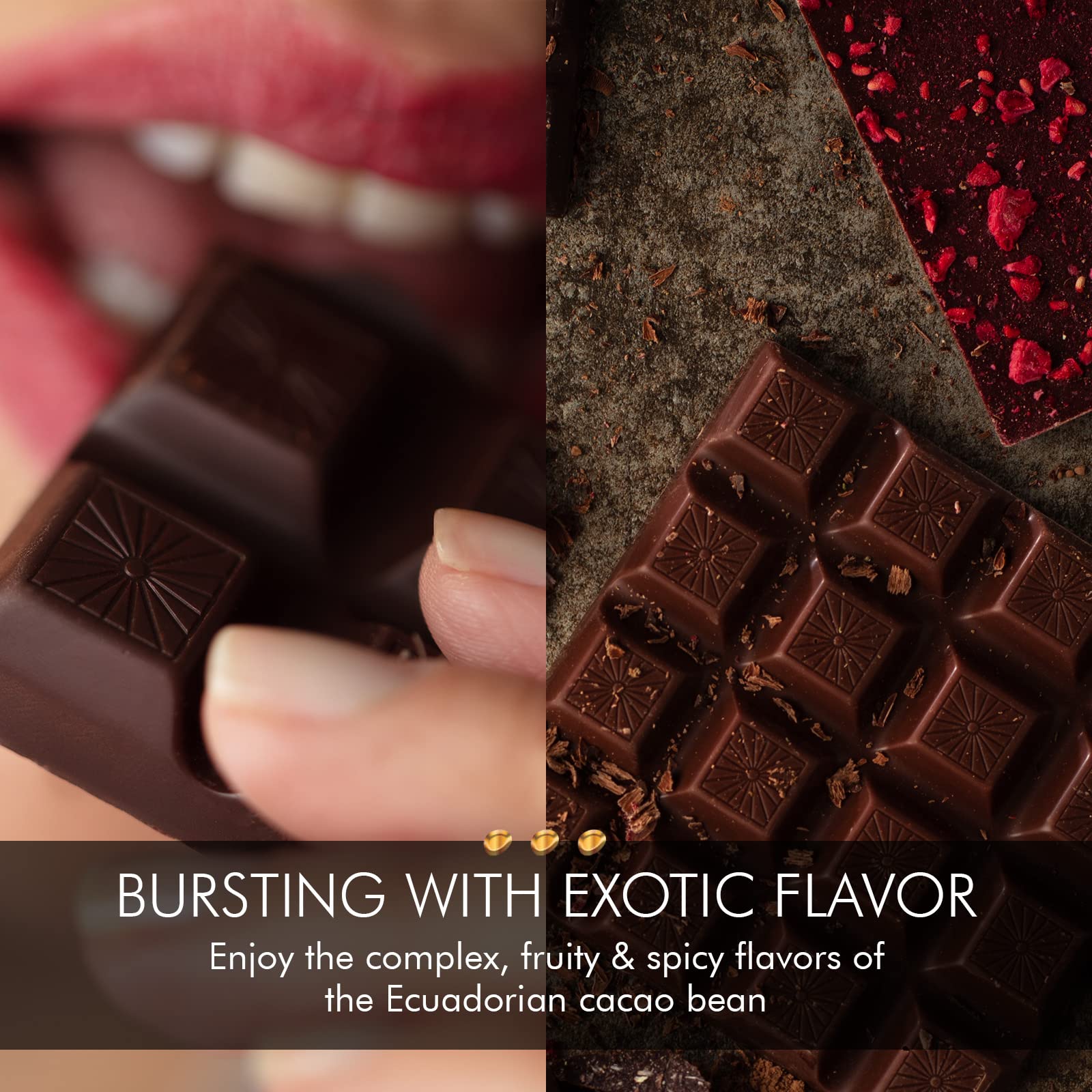Mayta Gourmet Dark Chocolate Bars 70% Cacao with Exotic Fruits & Basil - Premium Ecuadorian Fine Aroma Cocoa - 12 Pack (600g) - Perfect for Gifts, Dessert Pairing & Gourmet Snacking