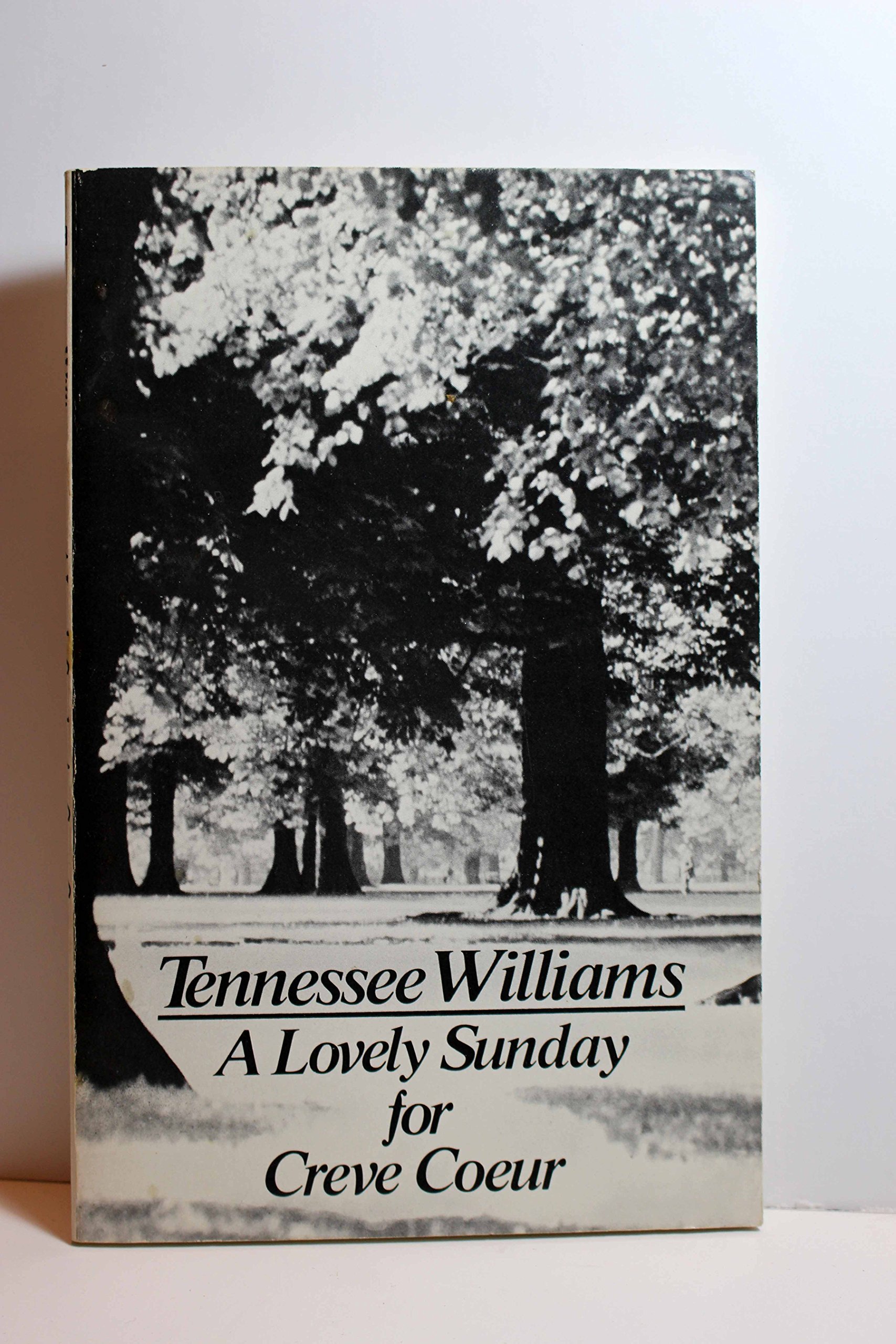 A Lovely Sunday for Creve Coeur: Two-Scene Play Script - Perfect for Theater Performances & Drama Studies