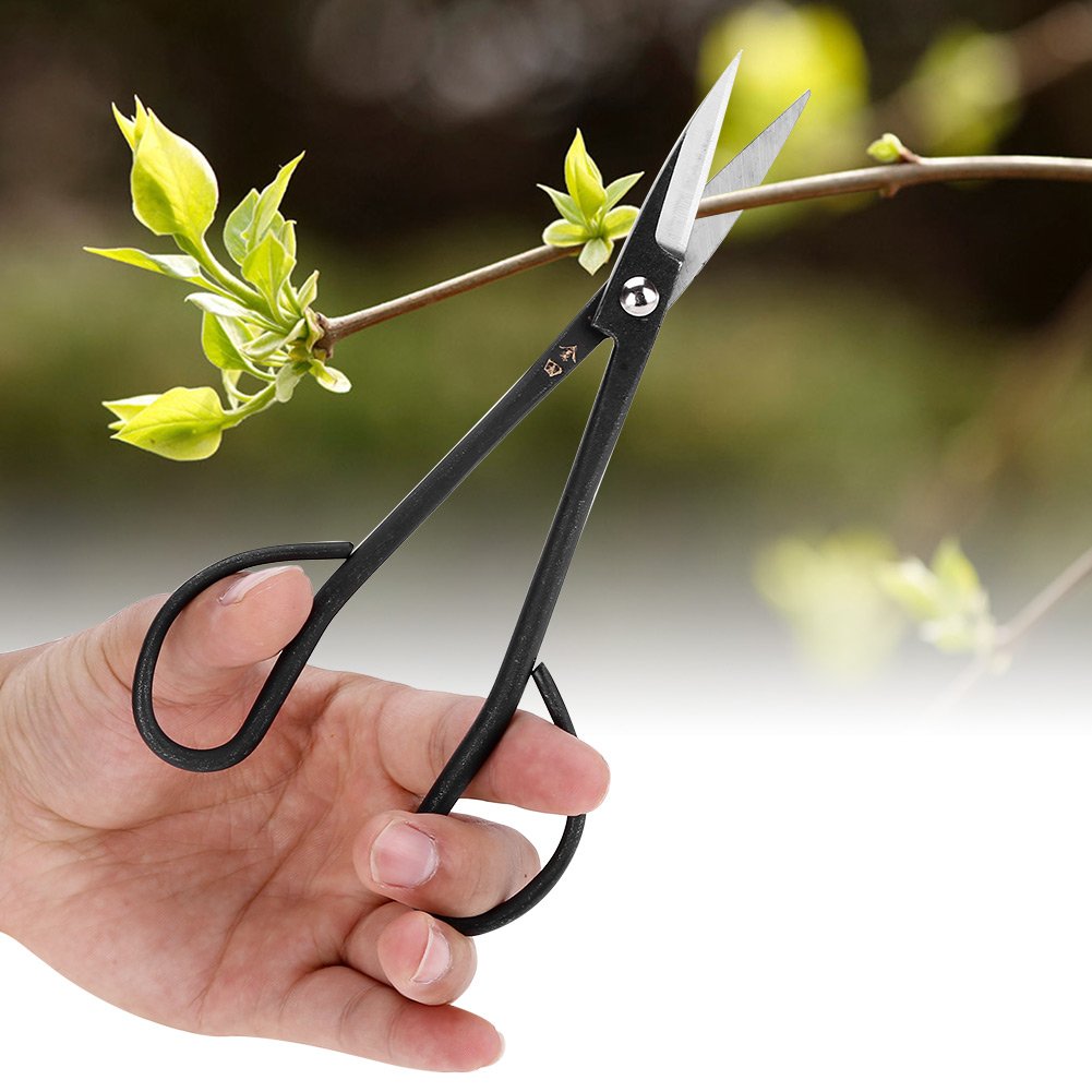 190mm Stainless Steel Bonsai Scissors - Professional Gardening & Flower Arranging Tool for Indoor/Outdoor Use
