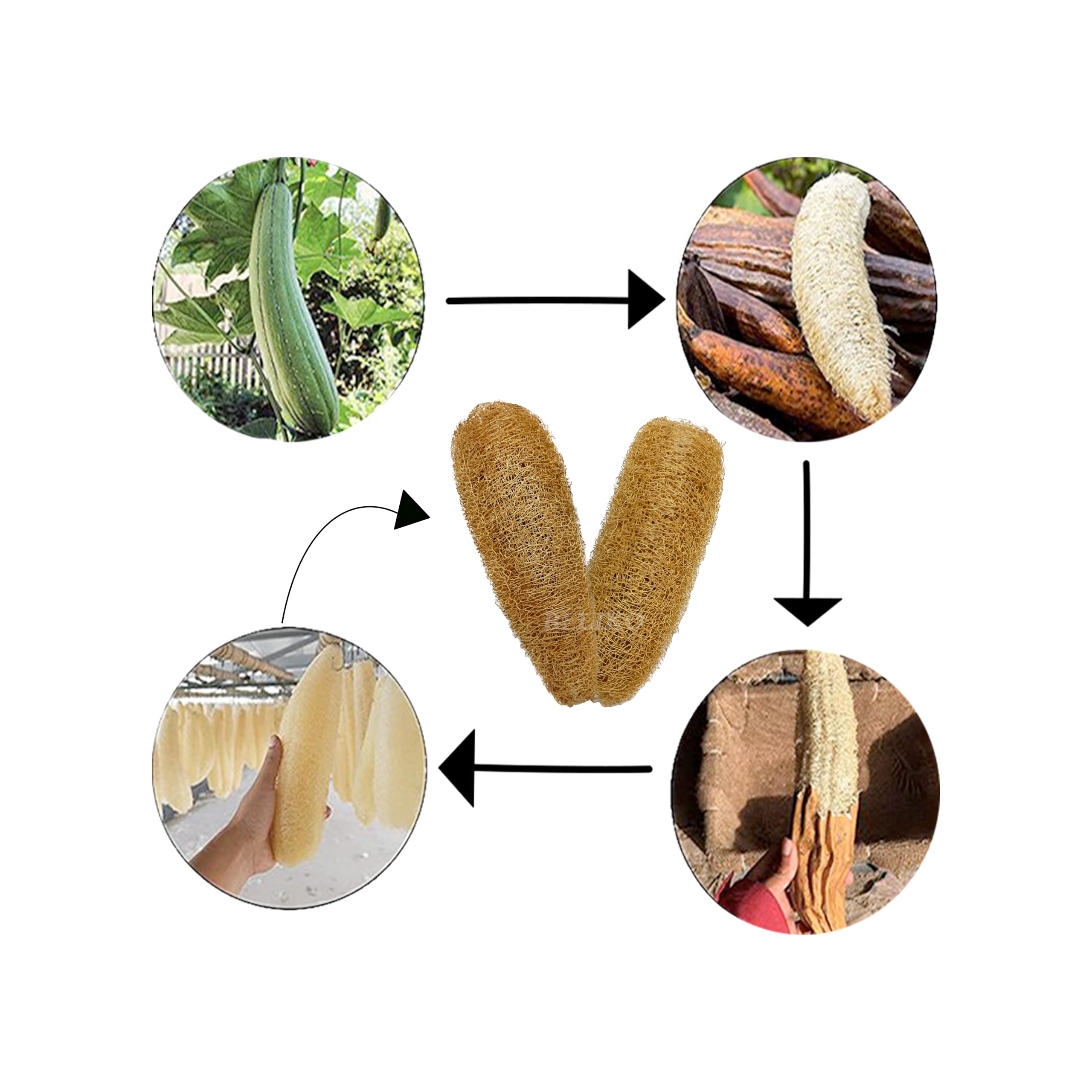 **Natural Loofah Sponge Body Scrubber - 5-Pack Organic Exfoliating Bath Sponge for Women & Men | Eco-Friendly Ridge Gourd Scrubber for Smooth Skin | Perfect for Shower, Spa, and Daily Skincare Routine**