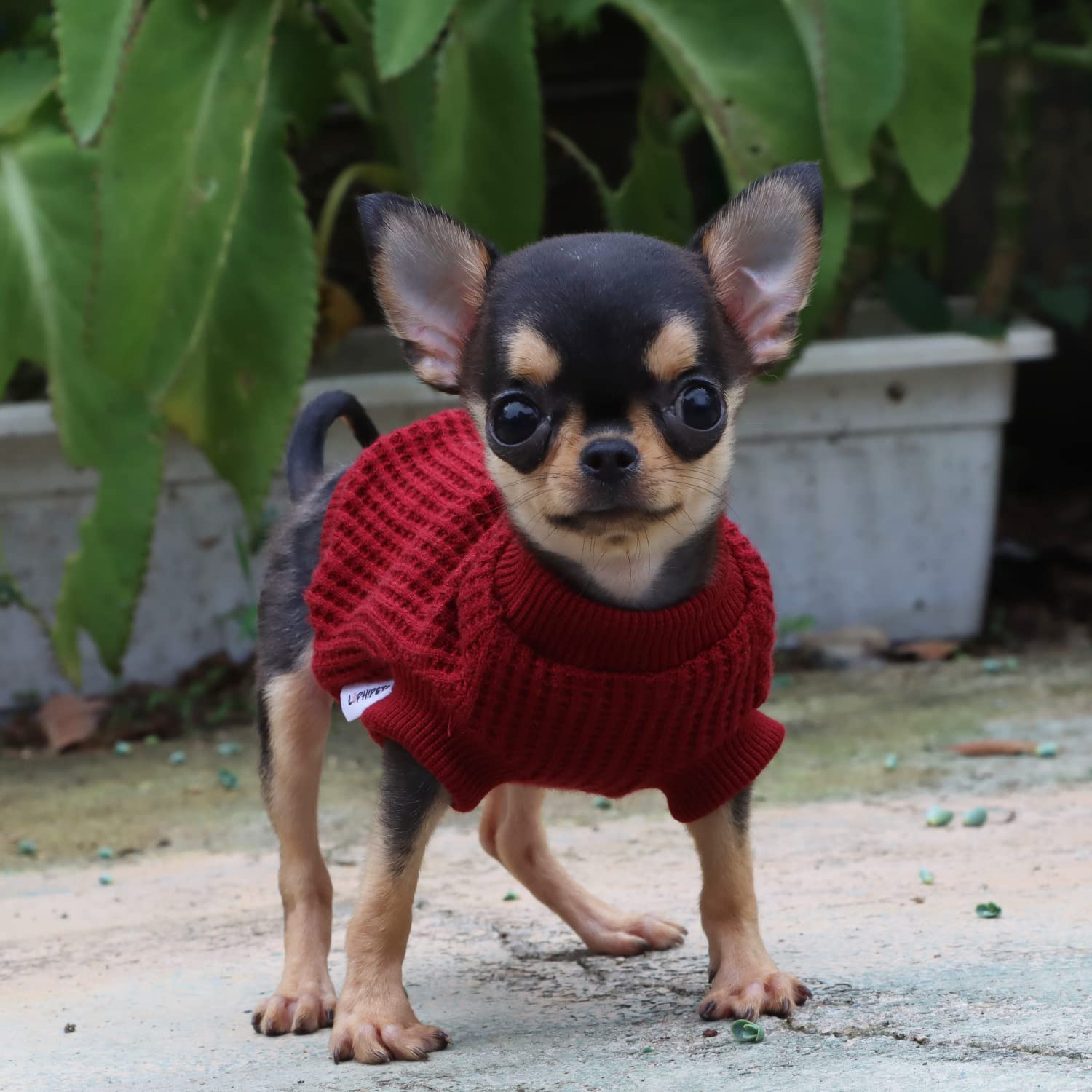 LOPHIPETS Lightweight Dog Sweaters for Small Dogs - Puppy, Chihuahua, Yorkie Clothes - Red, XS - Cozy Winter Outfit for Indoor & Outdoor Activities