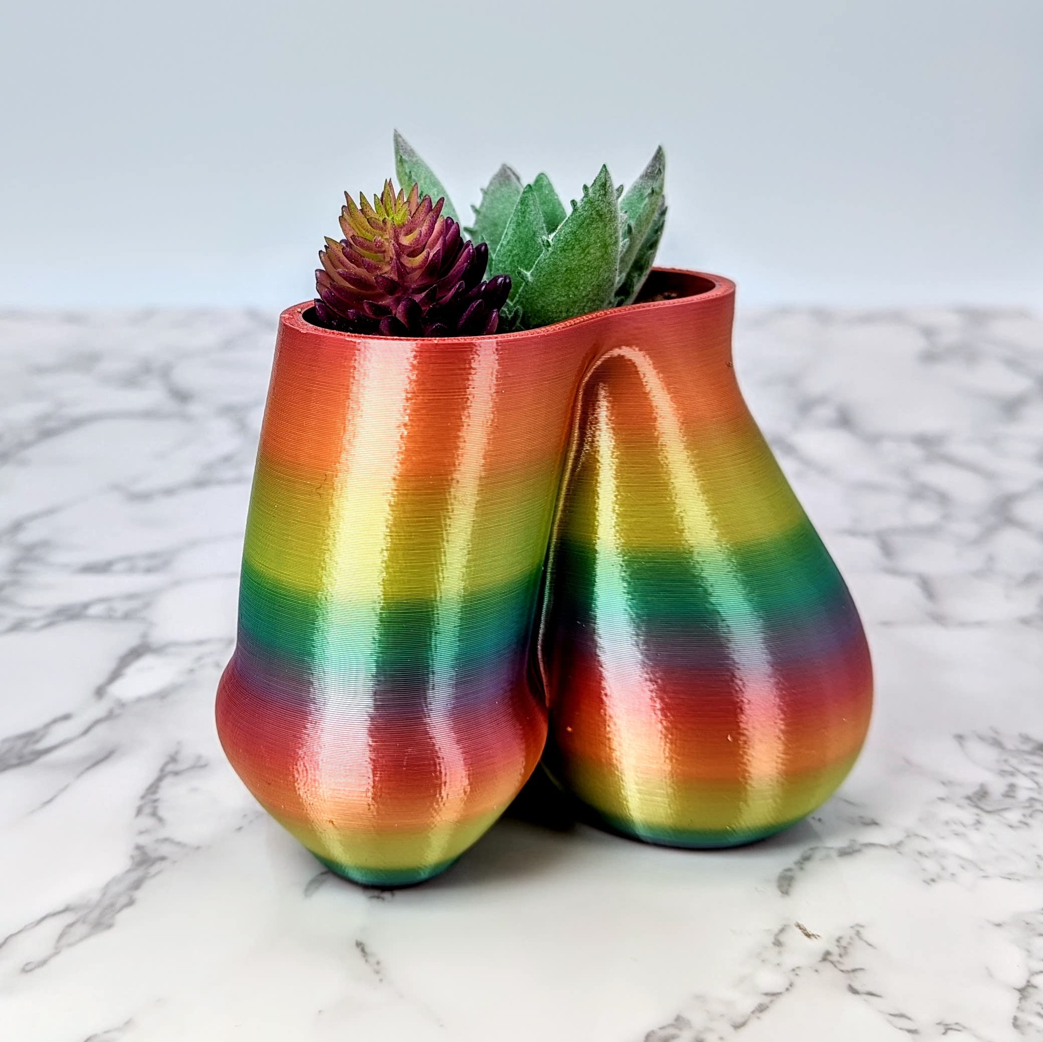 Succulent Penis Planter Pot - Male Body Shaped Plant Pots - Unique Anatomy Planters for Home & Office Decor - Rainbow Balls Flower Pot for Succulents & Small Plants - Perfect Gift for Bachelorette Parties & Funny Home Decor