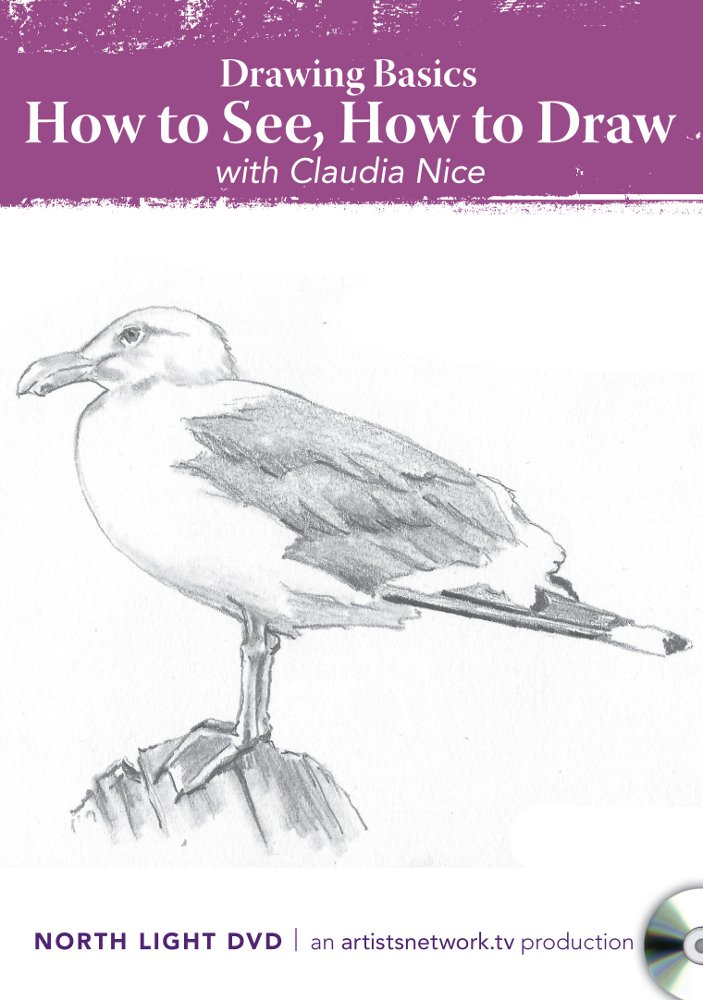 Drawing Basics: How to See & Draw - Step-by-Step Guide by Claudia Nice | Perfect for Beginners, Art Students & Sketching Enthusiasts