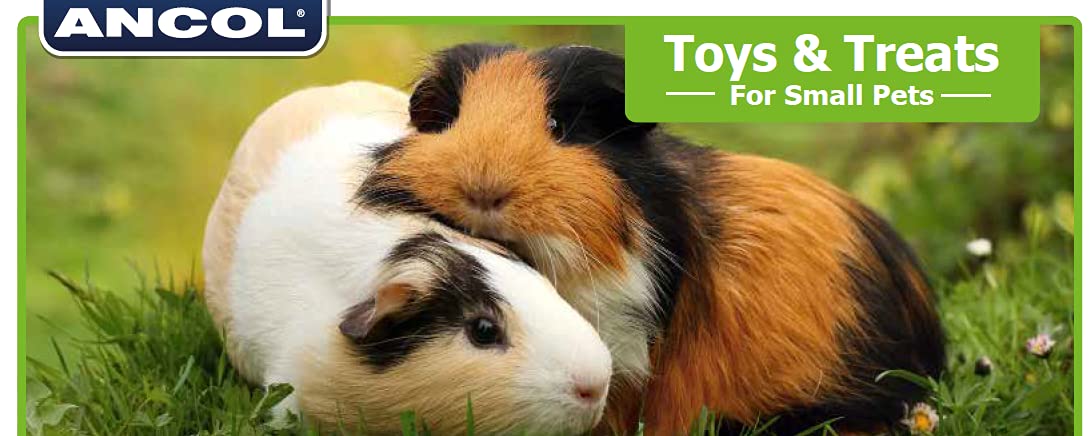 Natural Wooden Ring Tree Gnawer Chew Toy for Small Pets - Safe Teething Relief for Puppies, Rabbits & Guinea Pigs - Perfect for Cage Enrichment & Stress Relief