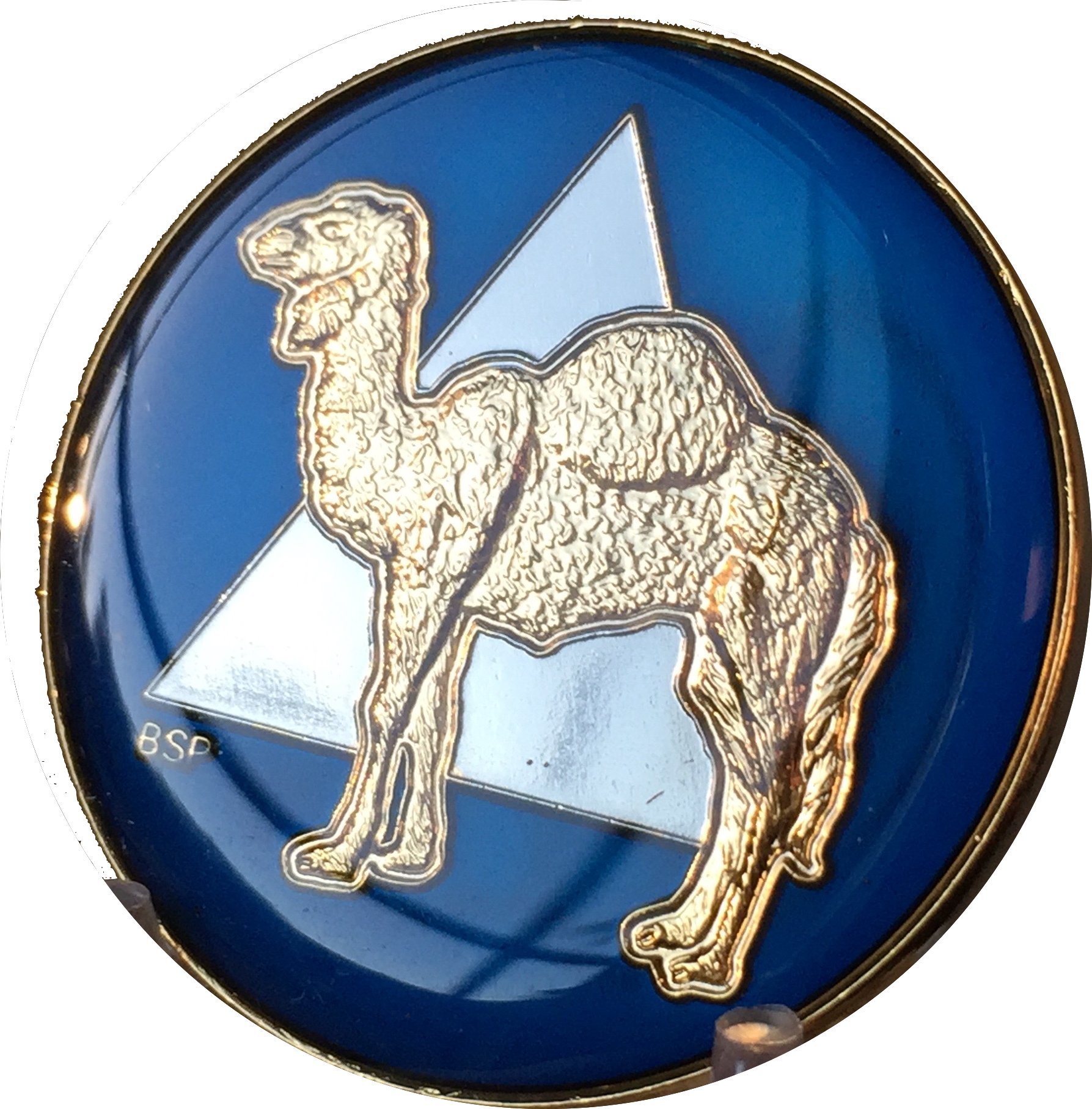 Camel Midnight Blue Tri Plate AA Medallion Sobriety Chip - Gold & Nickel Plated for Recovery Support & 12-Step Programs - Perfect for AA Meetings, Sobriety Milestones & Inspirational Gifts