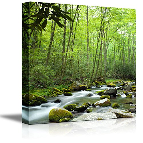 Stream