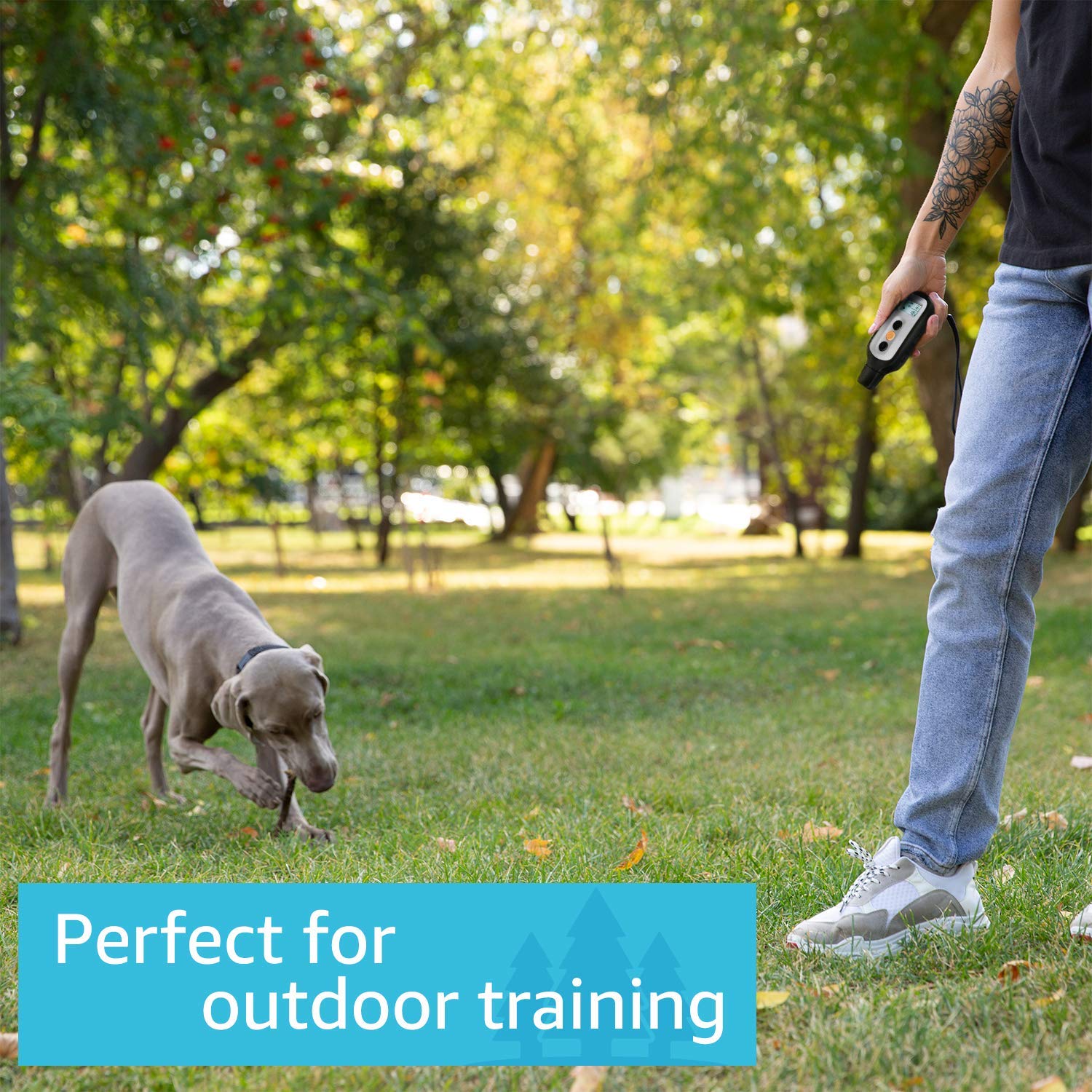 PetSpy XPro 3 Dog Training Shock Collar - 1000 Yard Remote Control for Small to Large Dogs | Vibration, Beep & Safe Shock Modes | Waterproof & Durable | Perfect for Obedience Training, Bark Control & Outdoor Adventures (3 Dog System)