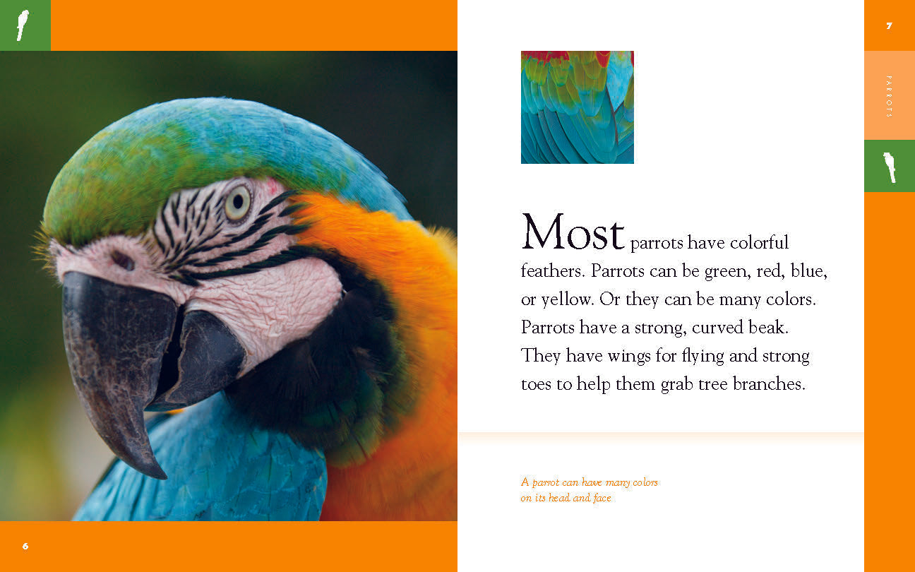 Amazing Animals (2014): Colorful Parrots - Exotic Bird Documentary for Nature Lovers | Perfect for Home Viewing & Educational Use