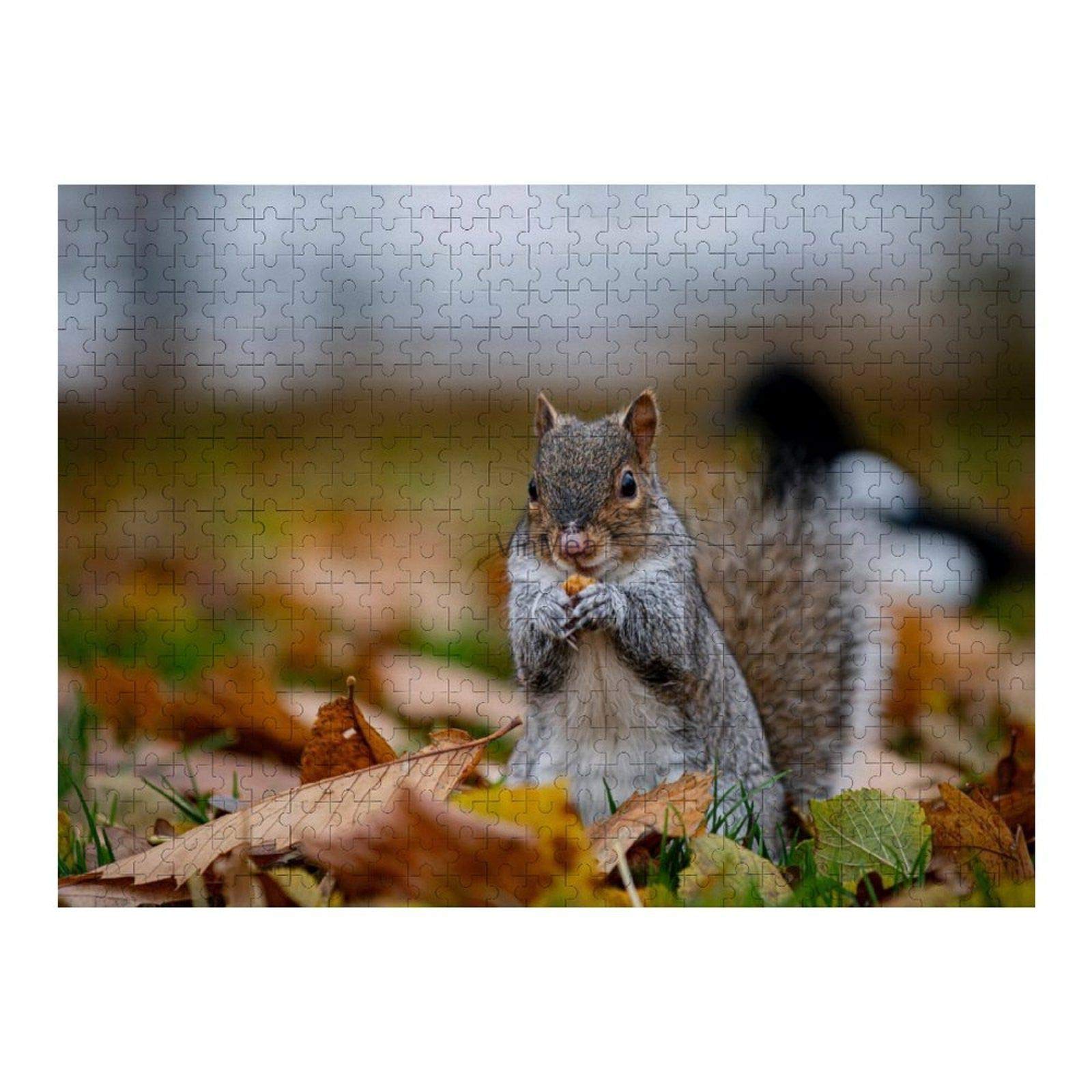 YYone 300 Piece Jigsaw Puzzle - Squirrel Pray - Adult & Kids Puzzle Game - Home Decor Gift - Perfect for Family Game Night & Stress Relief
