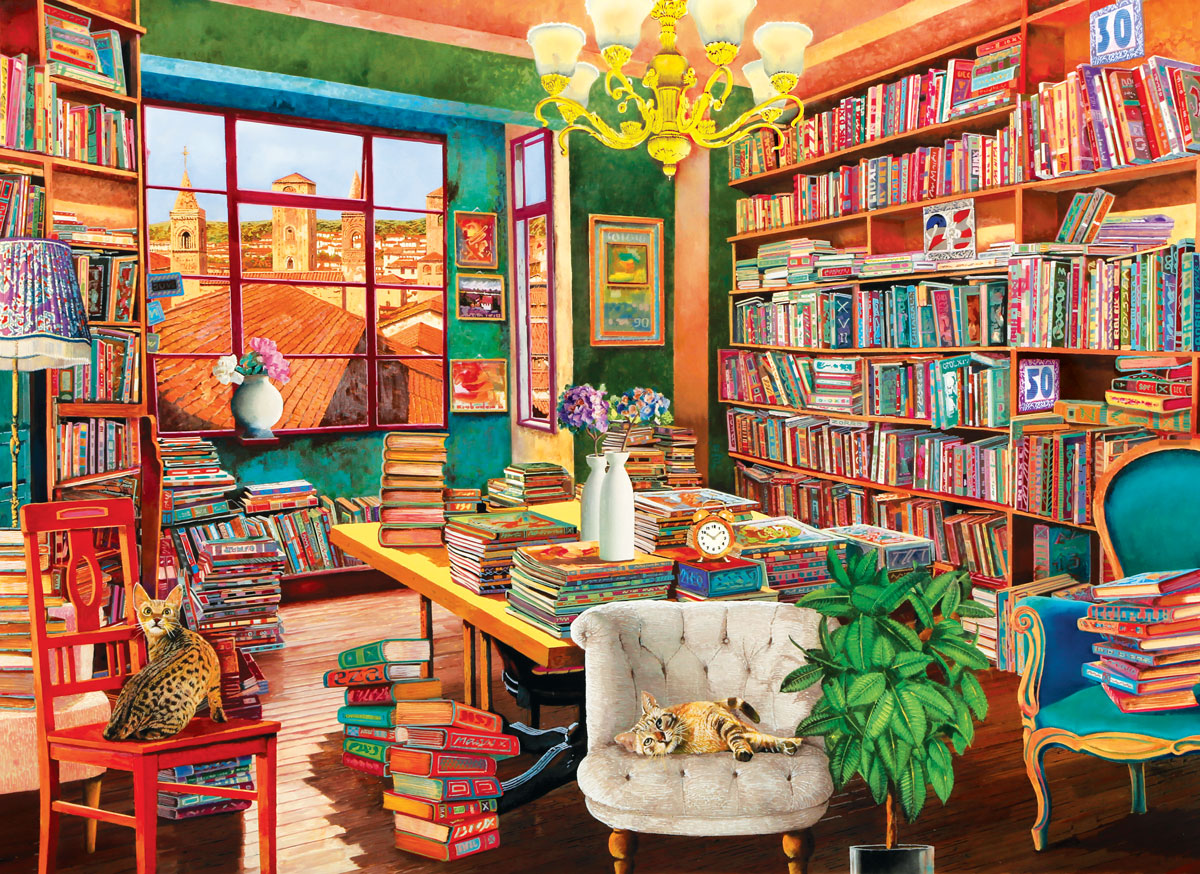 Eurographics 1000-Piece Jigsaw Puzzle - The Old Library | Premium Quality Puzzle for Adults & Teens | Perfect for Family Game Night, Relaxation & Home Decor