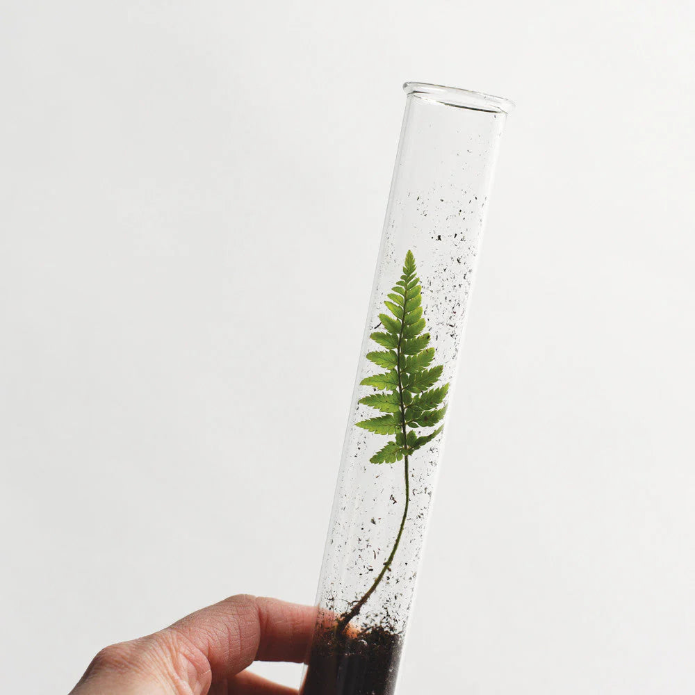 Butterfly Garden Pencil Terrarium Kit - DIY Glass Container with Live Plants for Home & Office Decor - Perfect for Nature Lovers, Unique Gift Idea for Kids & Adults - Create Your Own Mini Ecosystem for Relaxation & Stress Relief