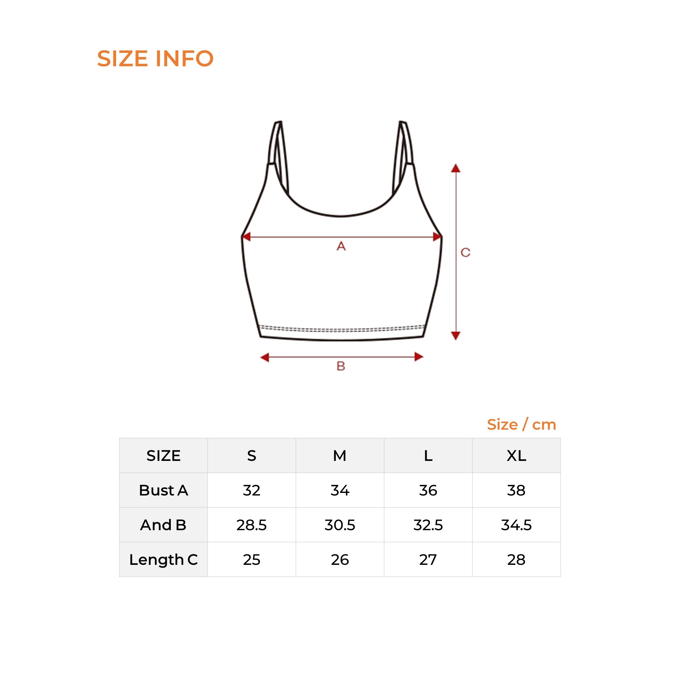 Black Label Signature 300N Basic Bra Top - Comfortable Sports Bra for Yoga, Running & Workouts - Wireless Support for Active Women
