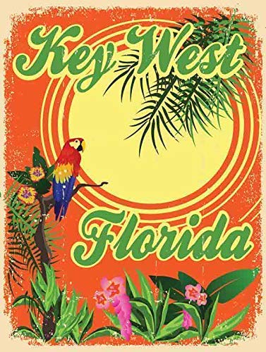 Vintage Key West Parrot Metal Sign - Rustic Iron Wall Art for Home, Bar, Coffee Shop & Kitchen Decor - Indoor & Outdoor Use - 12x16 Inch - Perfect for Beach House, Tiki Bar & Tropical Theme Rooms