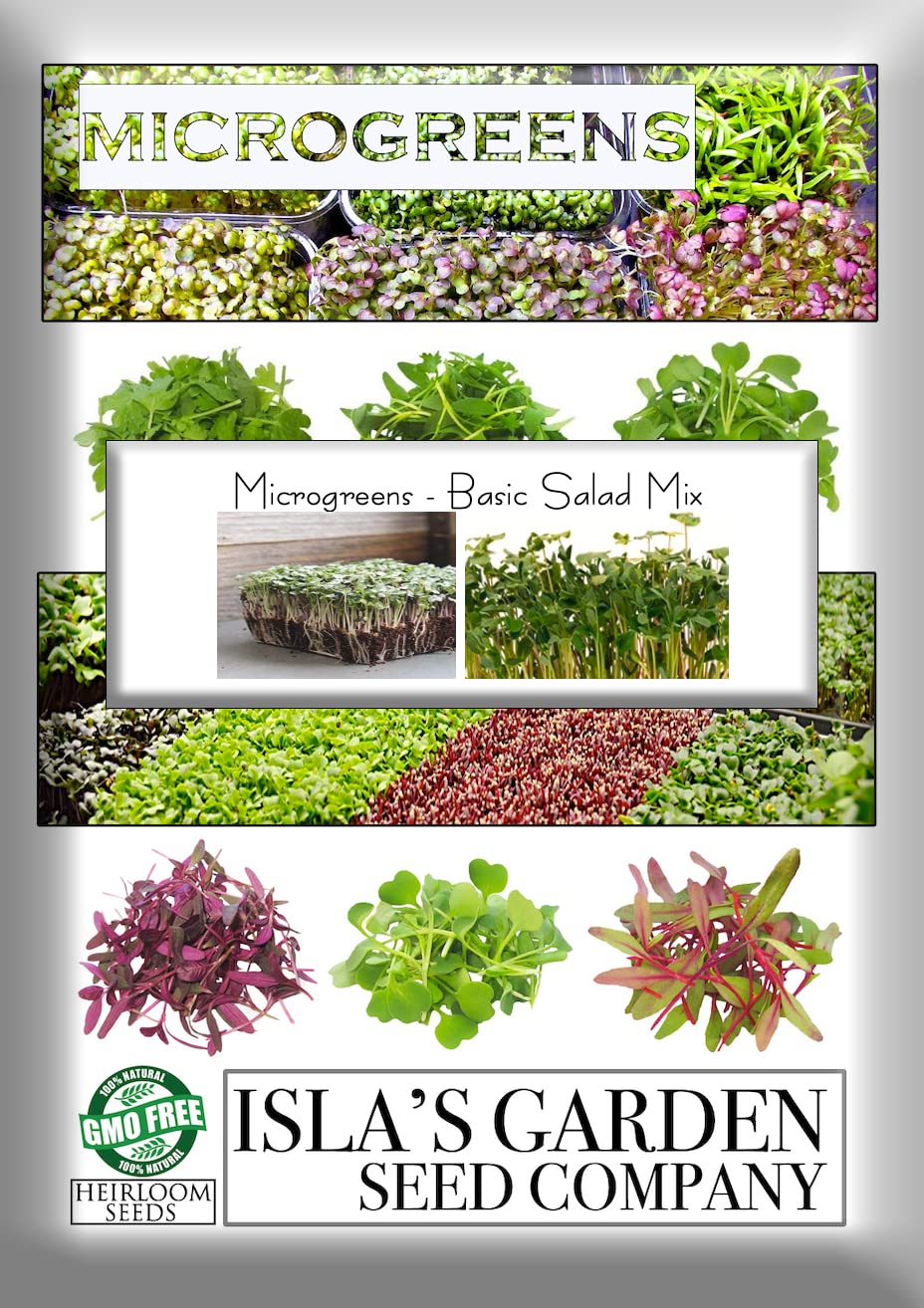 Premium Heirloom Salad Mix Microgreens Seeds for Planting - 300+ Non-GMO Seeds with 85-90% Germination Rate by Isla's Garden Seeds - Indoor & Outdoor Gardening, Perfect for Homegrown Salads & Healthy Eating