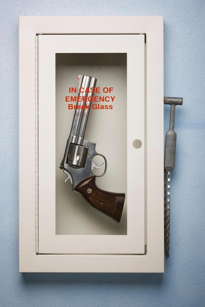 Self Defense Hand Gun Emergency Case Wall Art - Cool 16x24 Photo Print Poster for Home & Office Decor | Perfect for Gun Enthusiasts, Shooting Ranges & Man Cave
