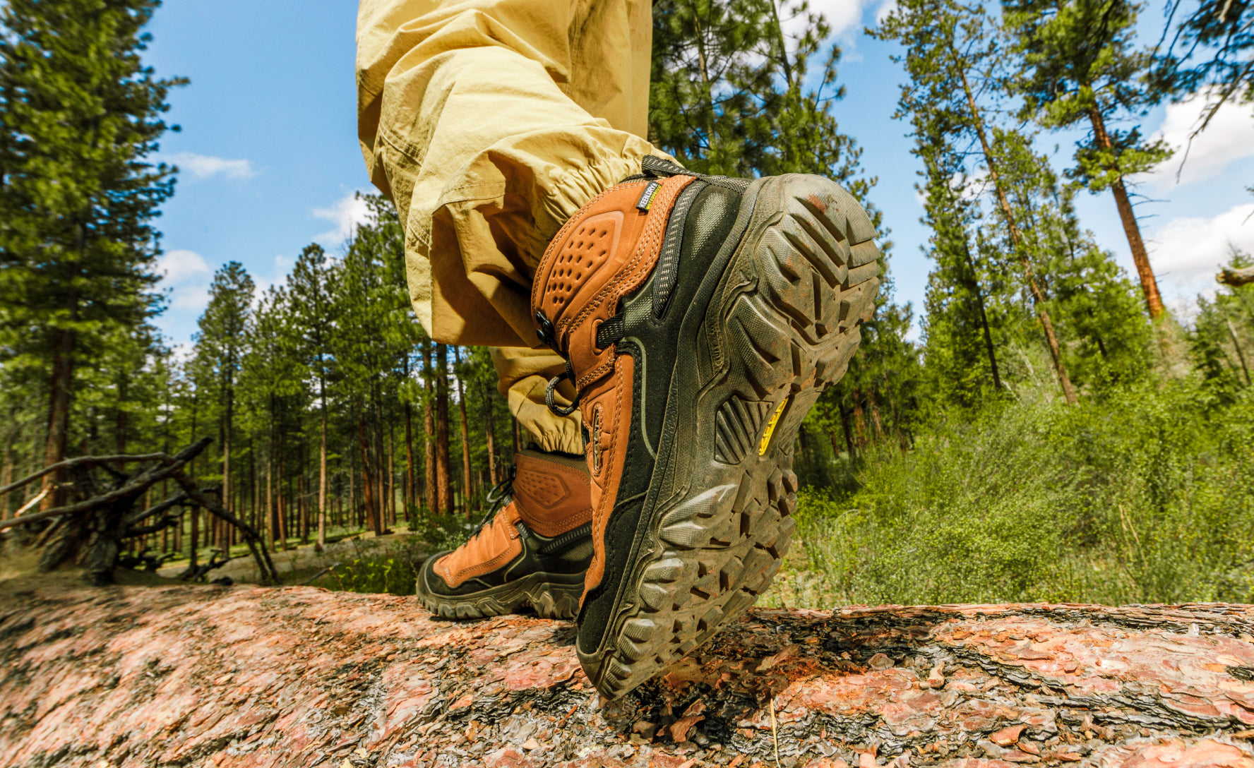Men's Targhee IV Waterproof Hiking Boots - Brindle/Canteen - Lightweight & Durable Outdoor Shoes for Trail Walking, Backpacking & Mountain Climbing