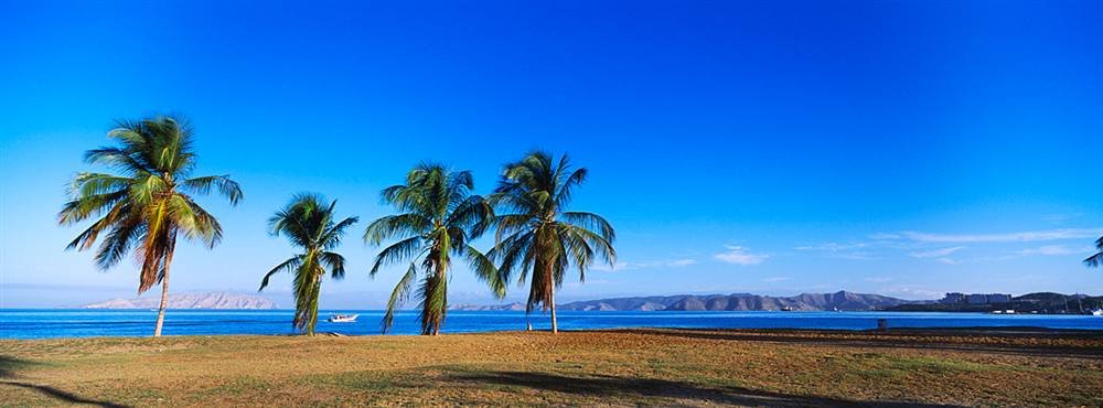 Walls 360 Peel & Stick Tropical Beach Wall Mural - Self-Adhesive Palm Tree Decor with Puerto La Cruz Venezuela Scenery (60