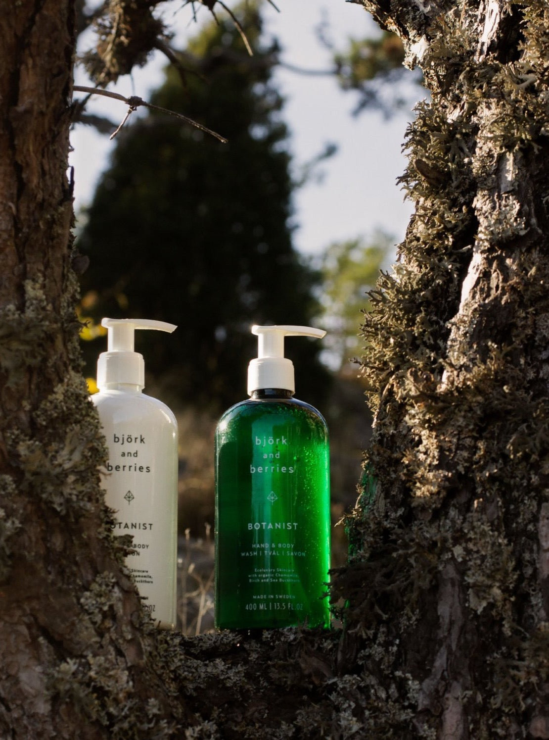 Bjork & Berries Botanist Hand & Body Wash - Natural Plant-Based Cleanser for Soft Skin | Perfect for Daily Shower & Spa Relaxation