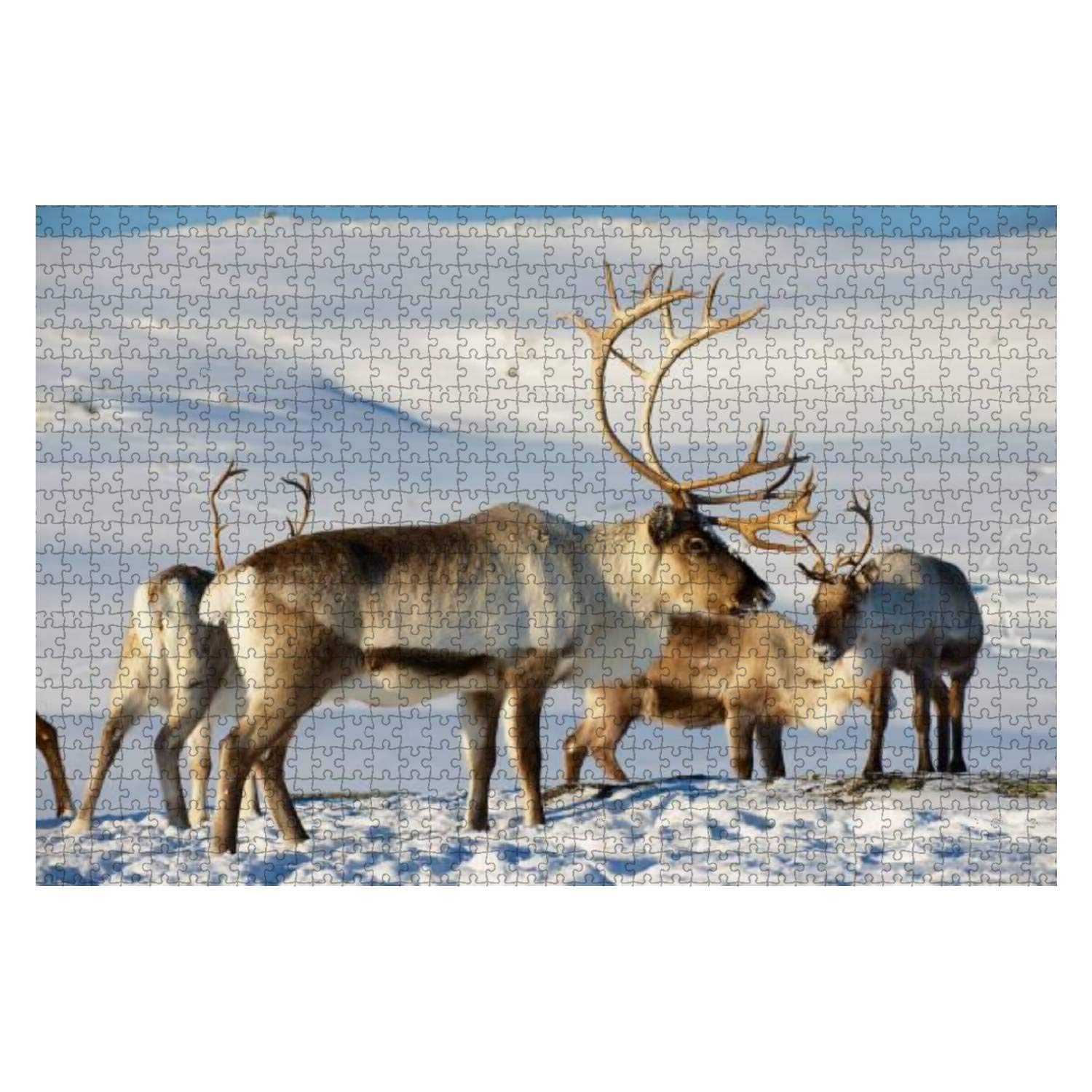 1000-Piece Wooden Jigsaw Puzzle - Reindeers in Tromso, Northern Norway Natural Landscape - Educational & Stress-Relief Puzzle Game for Kids & Adults - Perfect for Family Bonding, Classroom Learning & Relaxation Therapy