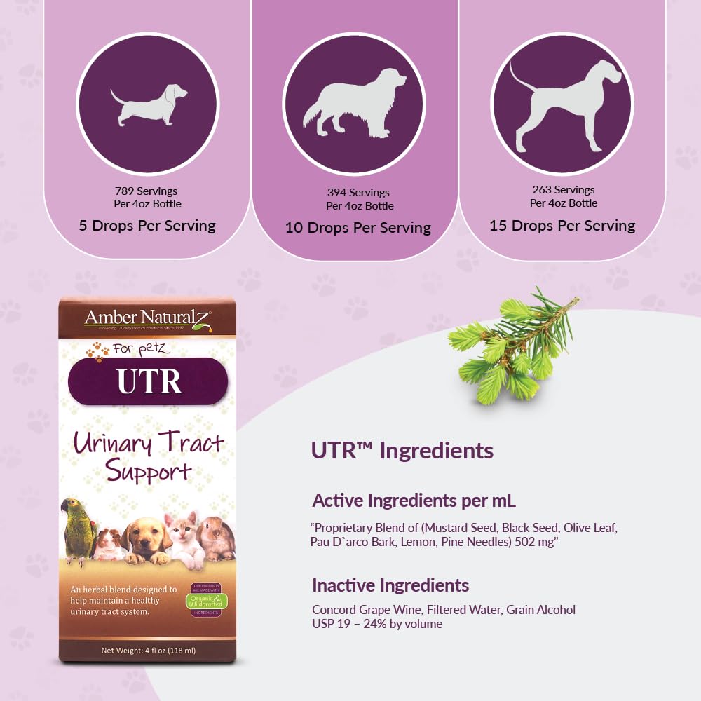 AMBER NATURALZ UTR Urinary Tract Herbal Supplement for Dogs, Cats, Birds, Guinea Pigs & Rabbits | Natural Pet Bladder Support | 4oz Glass Bottle | Made in USA | Supports Healthy Urinary Function for Small Pets