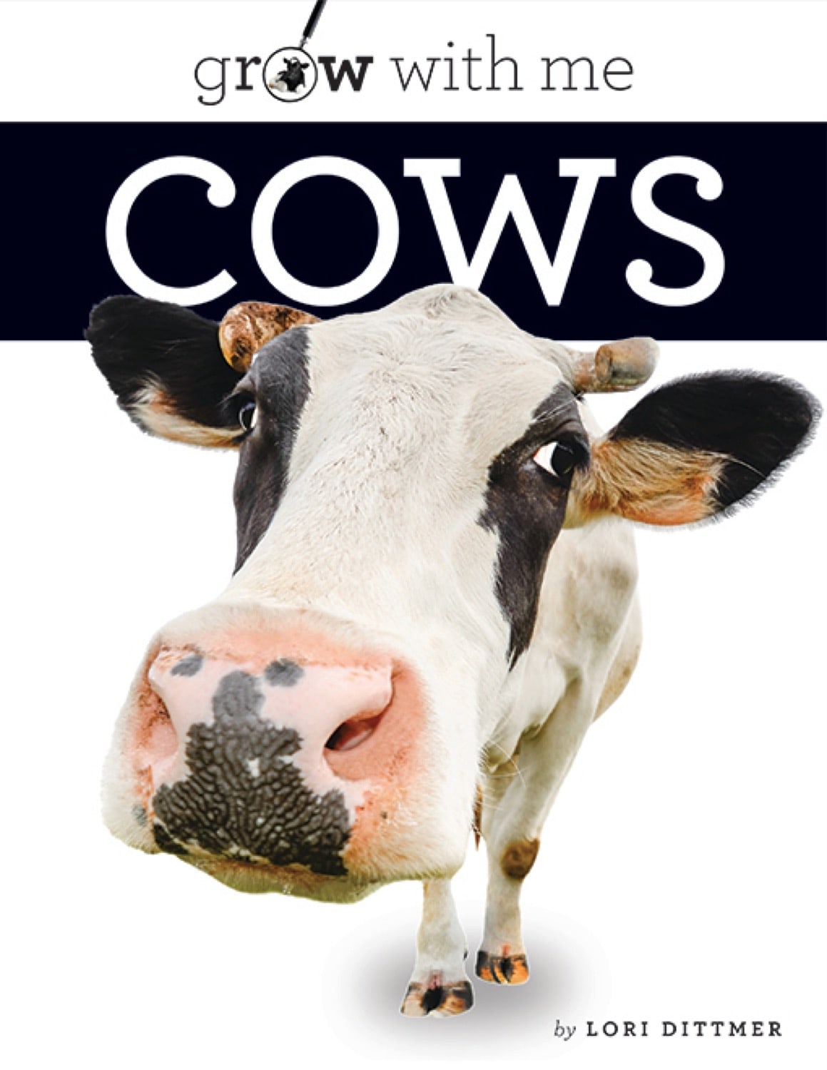 Cows Book 978-1-64026-230-0 - Educational Farm Animal Guide for Kids & Adults | Perfect for Homeschooling, Classroom Learning & Farm Enthusiasts