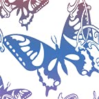 Butterfly Transparent