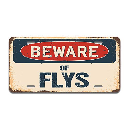 Beware of Flys