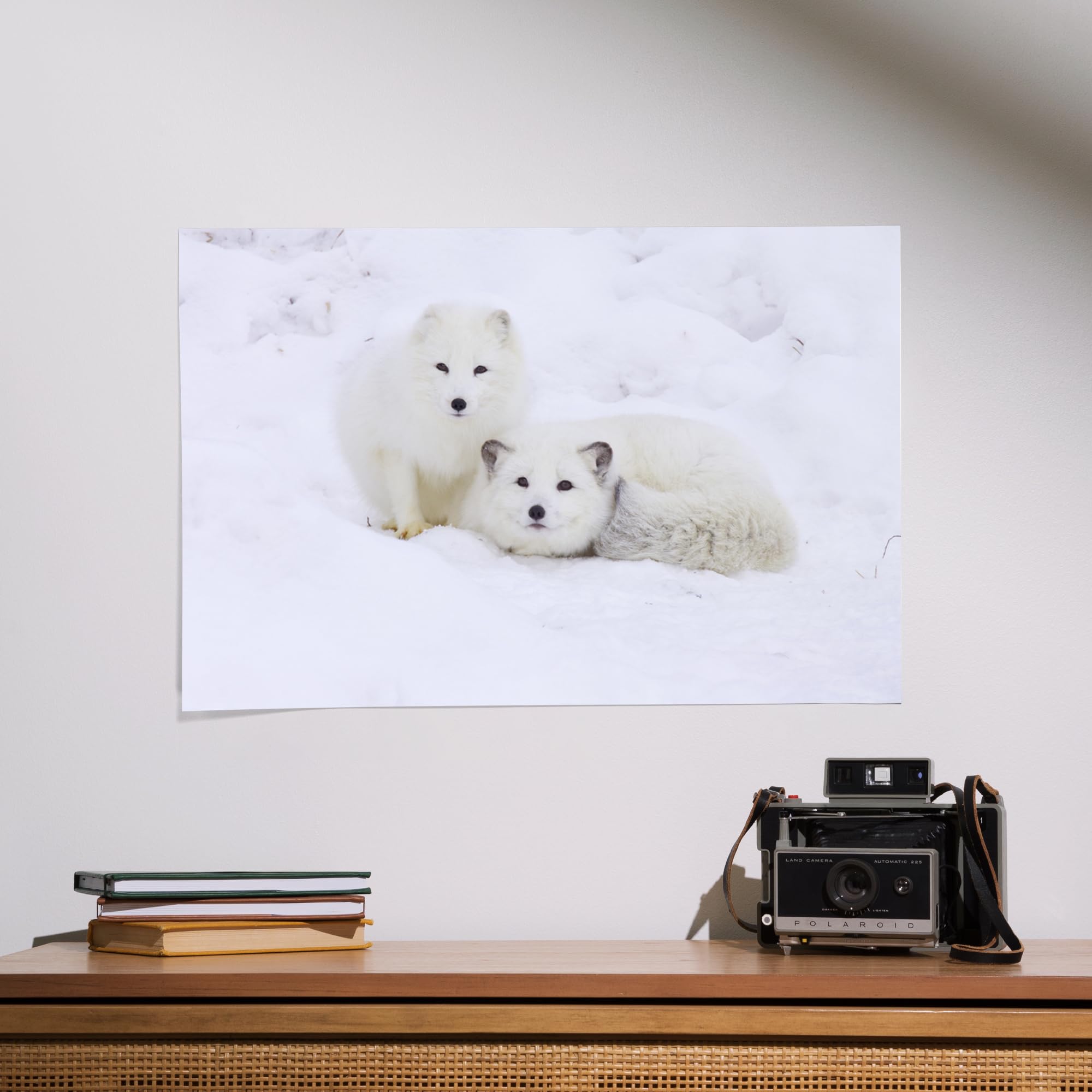 Lantern Press 16x24 Inch Giclee Art Print - Arctic Fox Wall Decor | Premium Canvas Painting for Living Room, Bedroom & Office