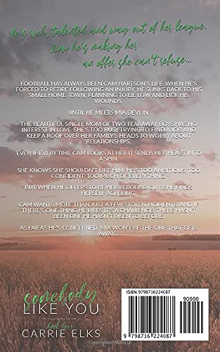 Somebody Like You: A Small Town Single Parent Romance Novel - Heartbreak Brothers Series | Perfect for Beach Reads & Cozy Nights