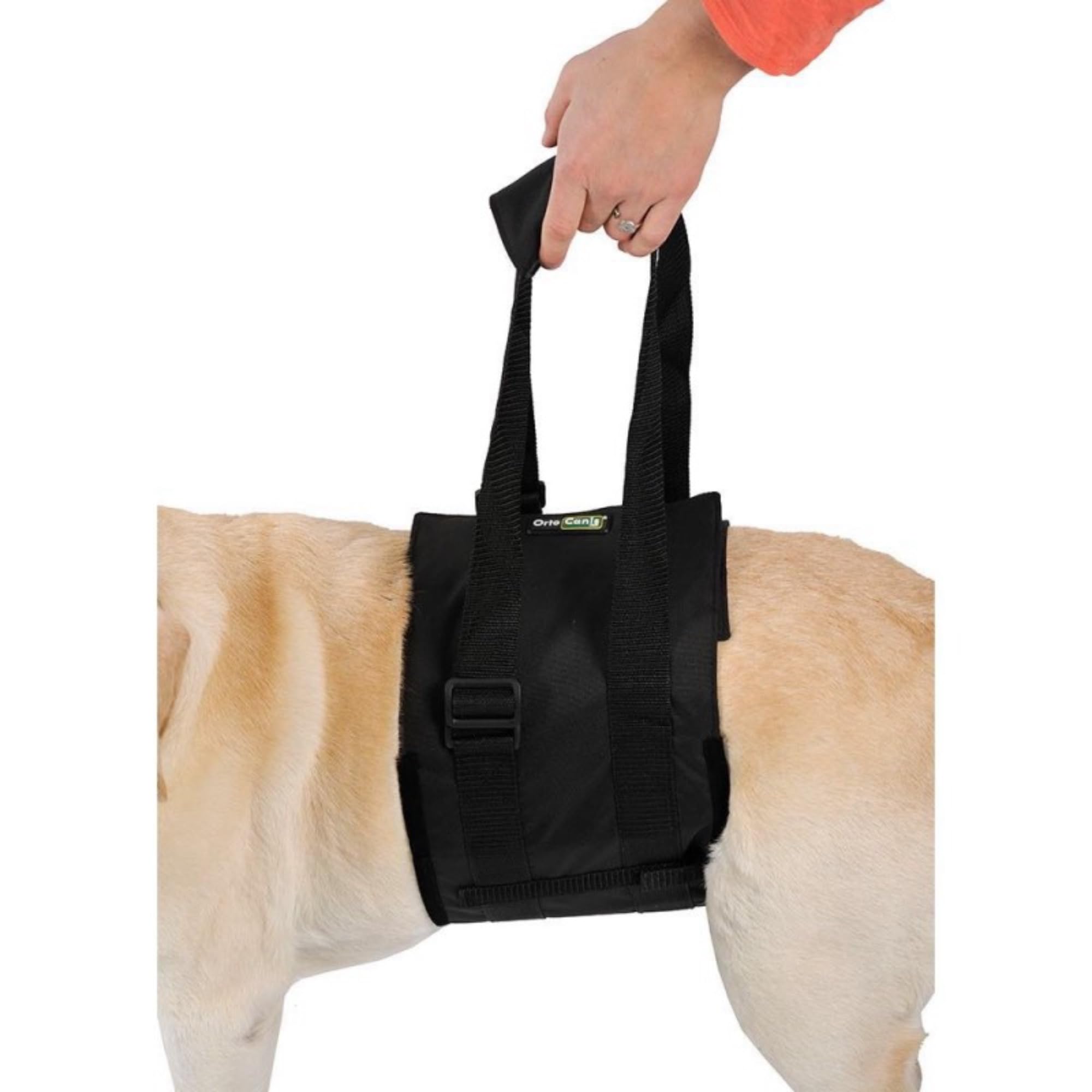 Ortocanis Dog Mobility Support Harness - Adjustable Hind Leg Walking Aid for Small Dogs with Hip Dysplasia, Arthritis, or Injury (Size XS) - Perfect for Rehabilitation, Post-Surgery Recovery & Daily Assistance