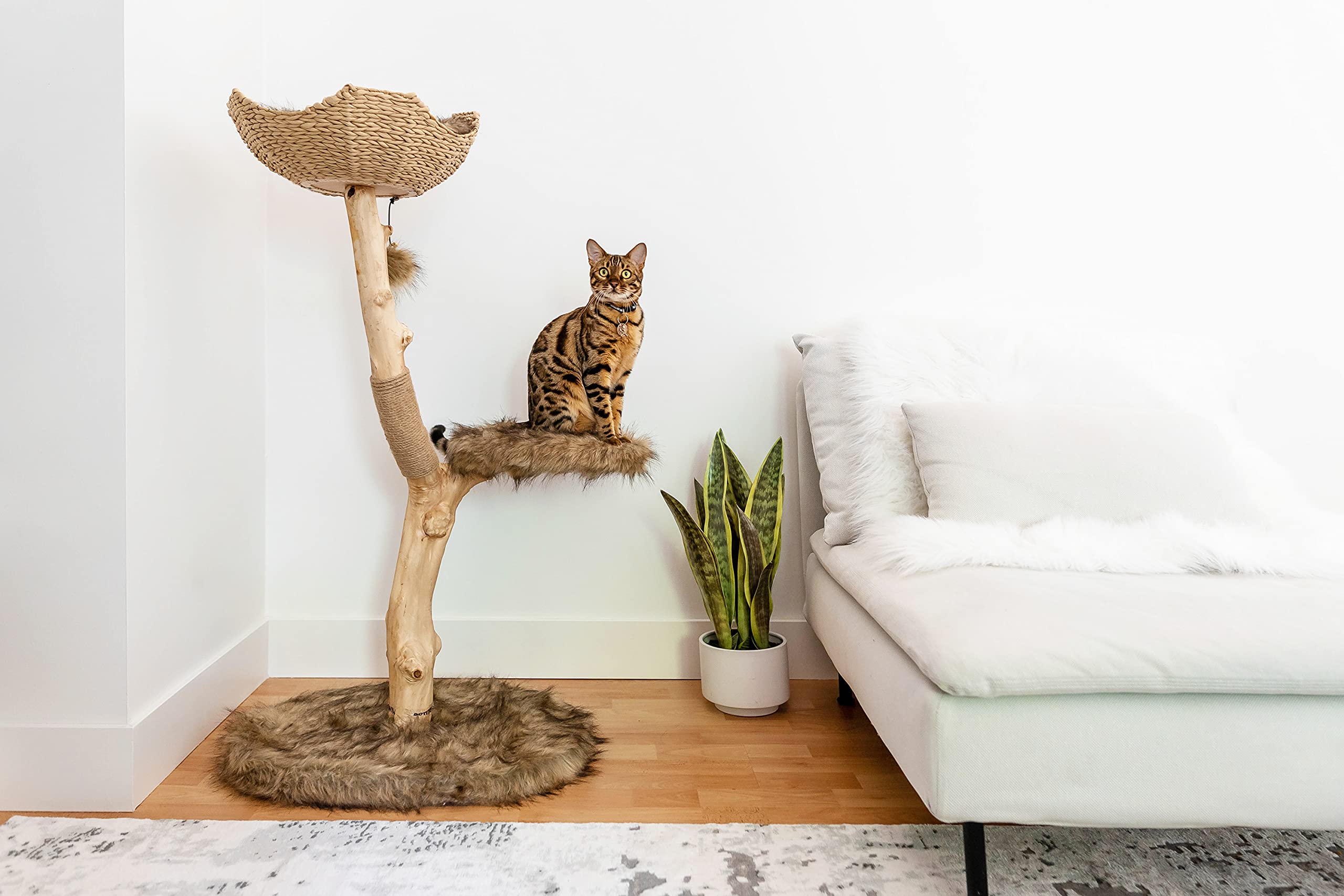 Modern Wooden Cat Tree Tower - Single Branch Cat Condo & Climbing Furniture for Indoor Cats - Perfect Cat Lover Gift by MAU LIFESTYLE (Brown) - Ideal for Small Spaces & Playful Kittens