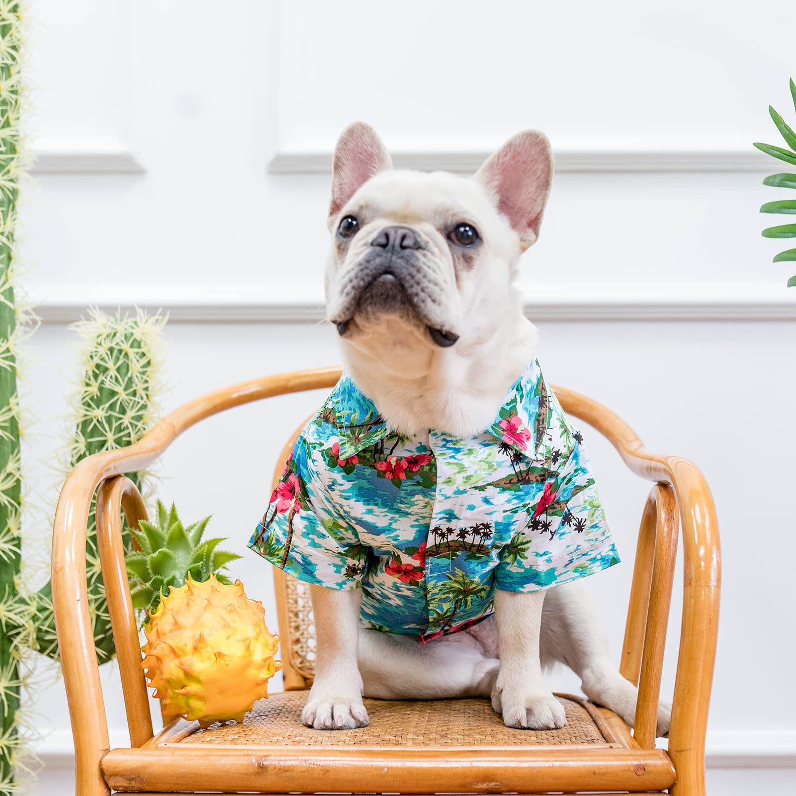 EXPAWLORER Hawaiian Dog Shirt - Breathable Floral & Sea Island Print Polo T-Shirt for Small, Medium & Large Dogs | Summer Cooling Outfit for Puppies (Boys & Girls) | Perfect for Beach Days, Backyard BBQs & Tropical Vacations