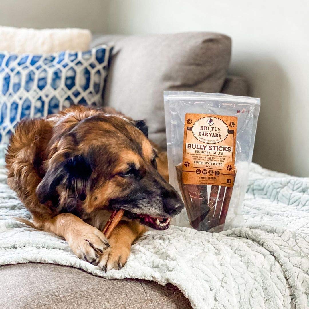 BRUTUS & BARNABY Grass Fed Bully Sticks for Dogs - Fully Digestible Natural Beef Dog Chews, Grain Free, Rawhide Free, Small Batch Freshness & Low Odor | Perfect for Puppy Teething, Training Treats & Long-Lasting Dental Health