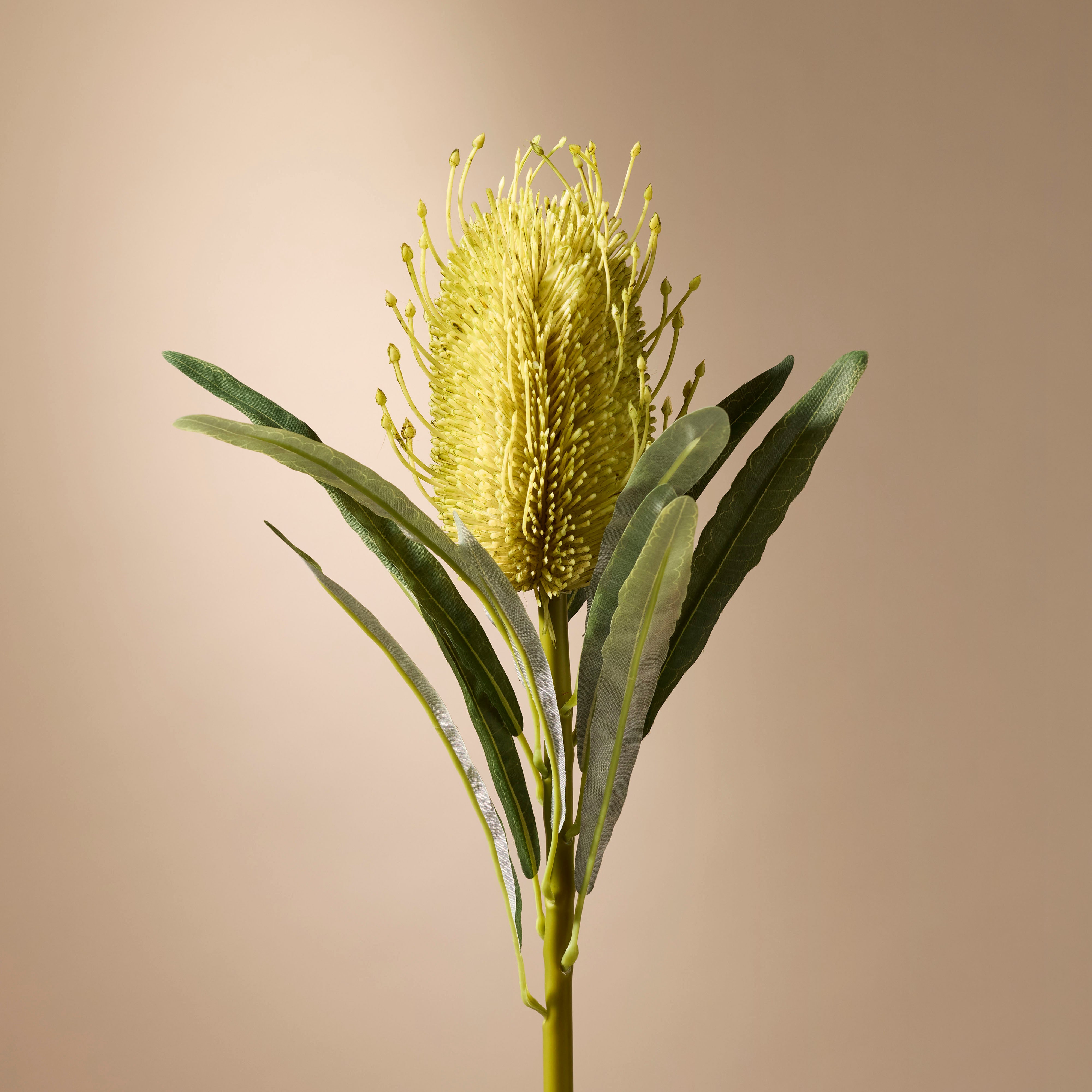Artificial Coastal Banksia Stem - 25