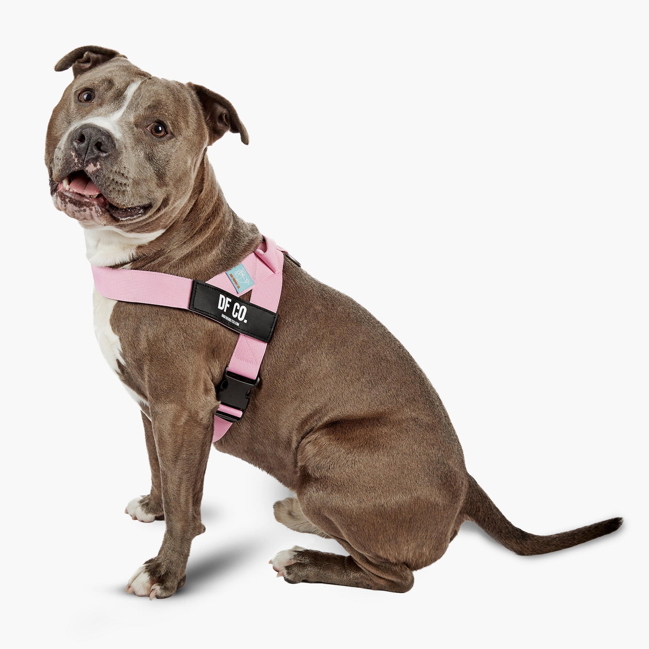 Premium Pink Dog Harness - Adjustable & Breathable for Small to Large Dogs - Perfect for Walking, Running & Outdoor Adventures